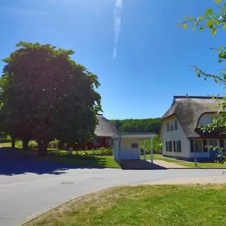 Ferienhaeuser Unter Reet In Reethaus Svantevit Semesterbostad