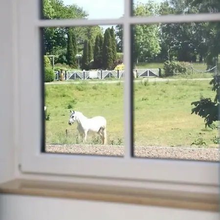 Ferienhaeuser Unter Reet In Reethaus Svantevit
